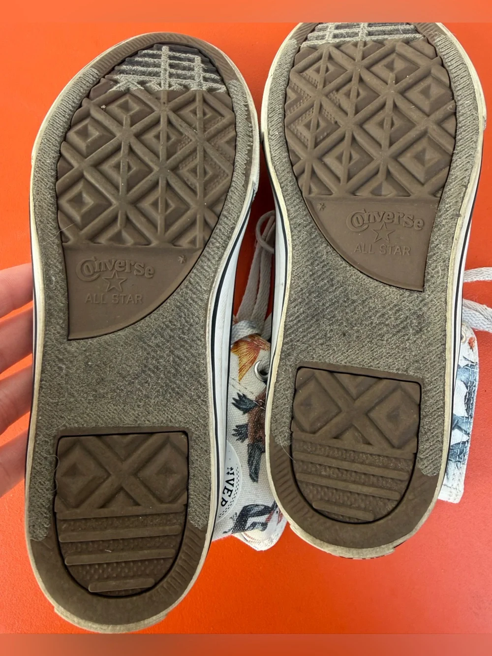 Converse Junior Chuck Taylor All Star Hi sneakers Science Class / Zoo Animals 5